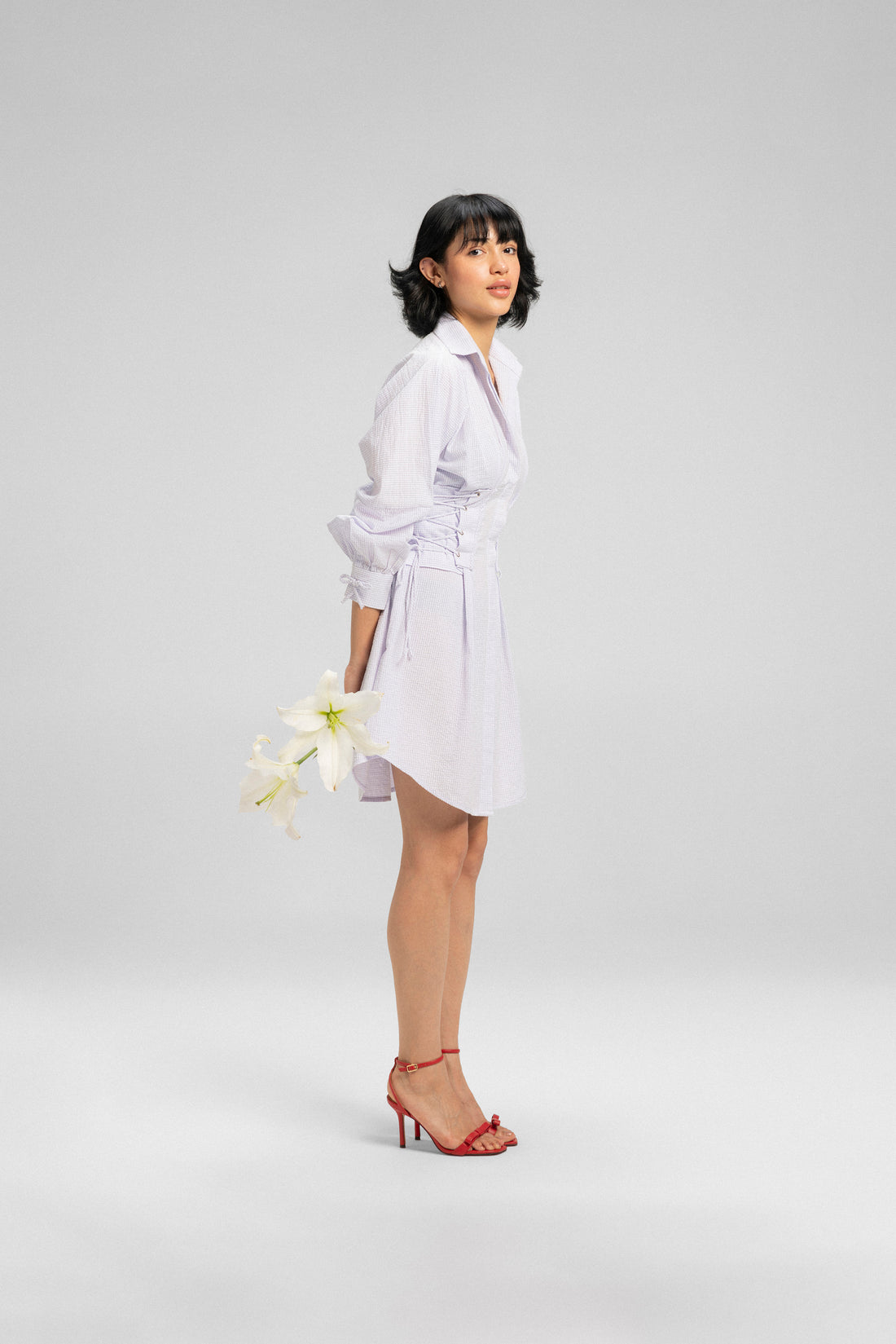 Anise Shirt Dress